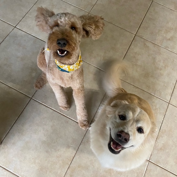 Meet your Posher, Gabi! 🤍 - Picture 2 of 3